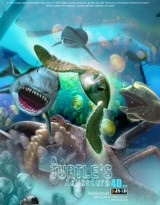 A Turtle’s Adventure